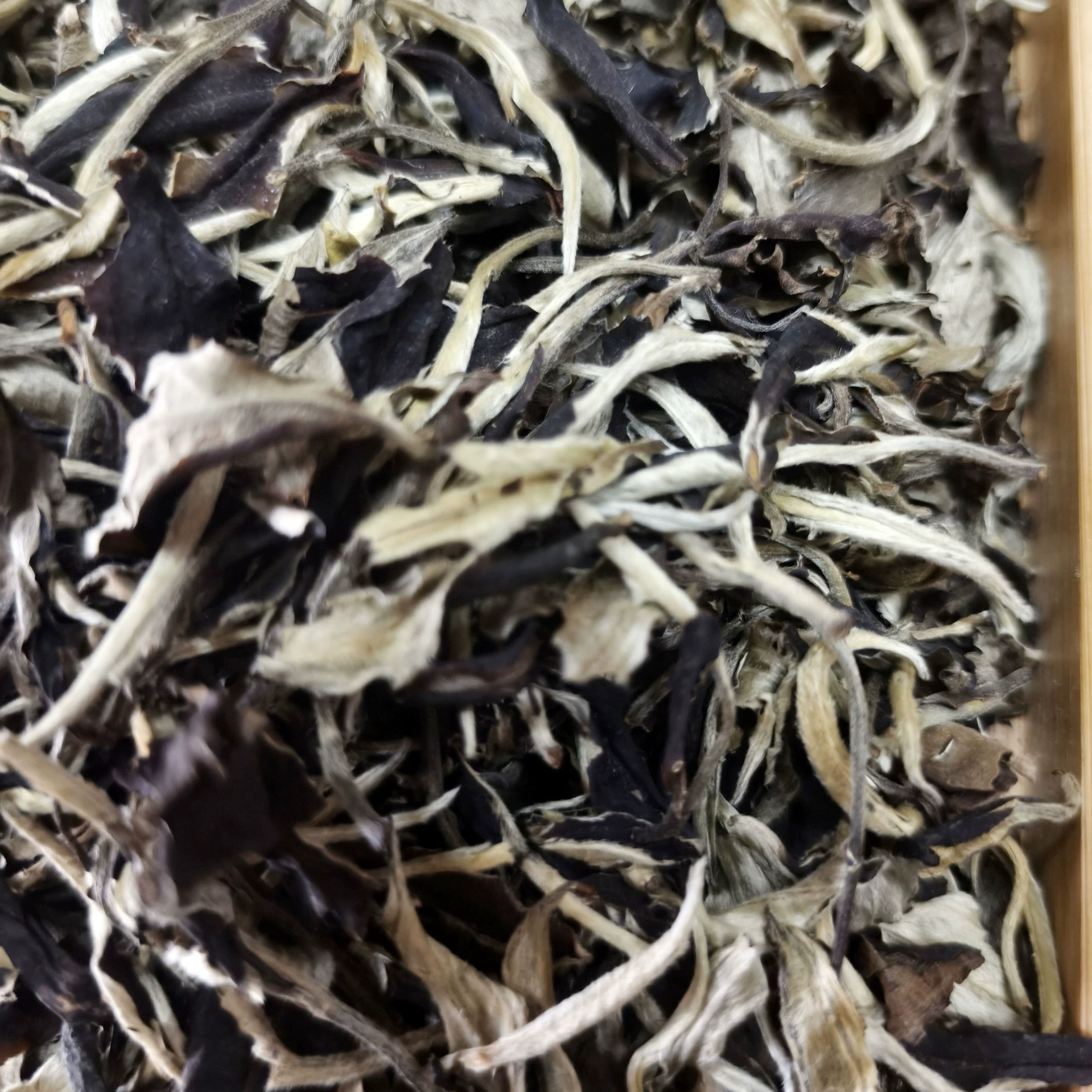 Белый чай «Лунный свет» из старых деревьев Юньнани, выдержанный десять лет, прямые поставки с завода, оптом