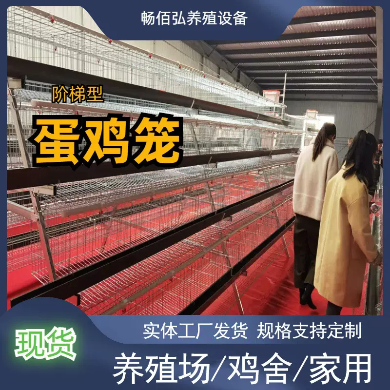 多层蛋鸡笼热镀锌丝材质阶梯层叠式养殖鸡窝设备 A型简易式鸡舍笼