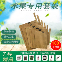 水果套袋枇杷袋套柚子芒果梨子桃子苹果枇杷果套袋袋育果袋纸
