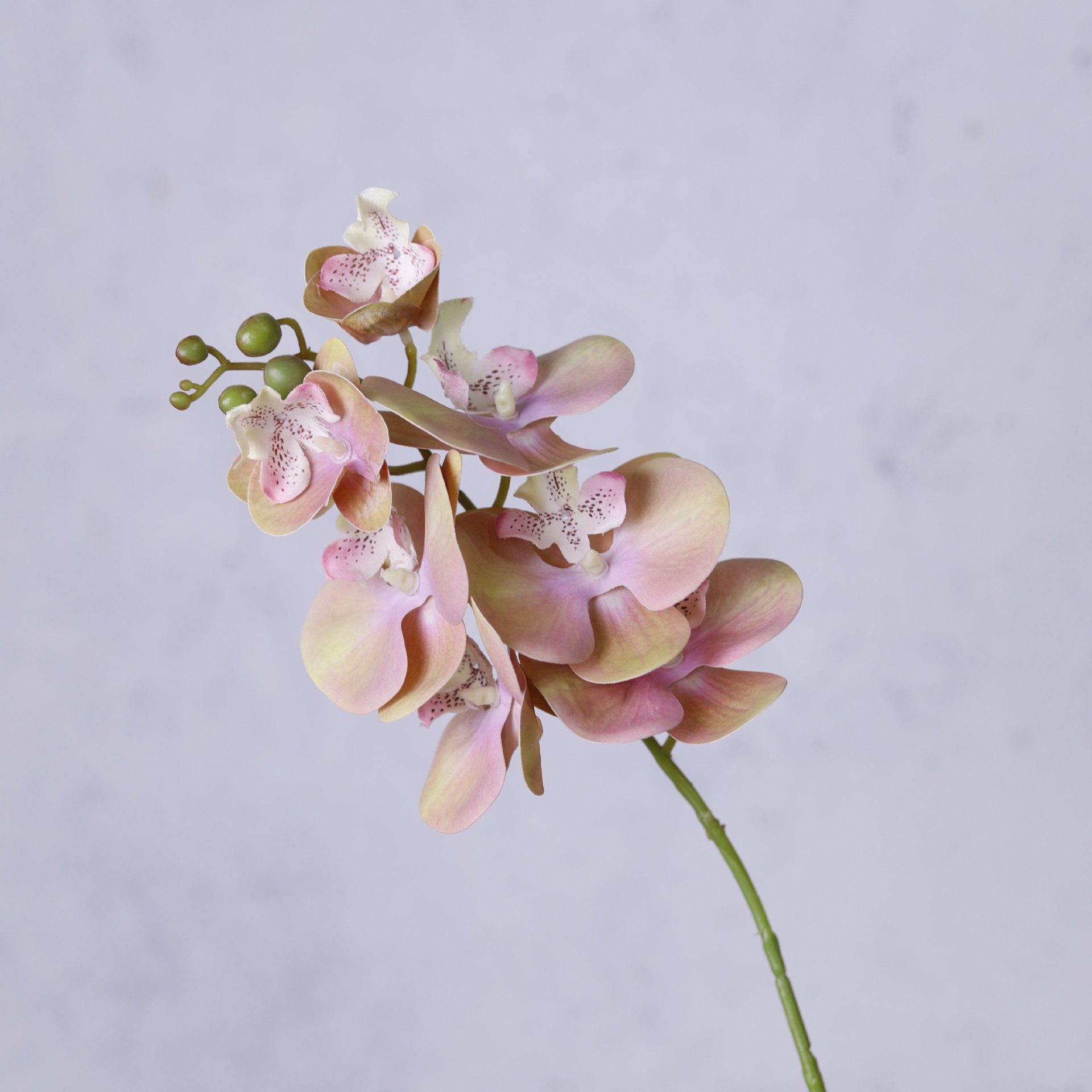 Impresión 3D de 7 cabezas de orquídeas mariposa flor de decoración de flores de alto nivel flor de nicho decoración floral decoración de sala de estar