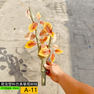 ������������ľ�޽��،m���˼ľ�з�䗫������h�����������A��