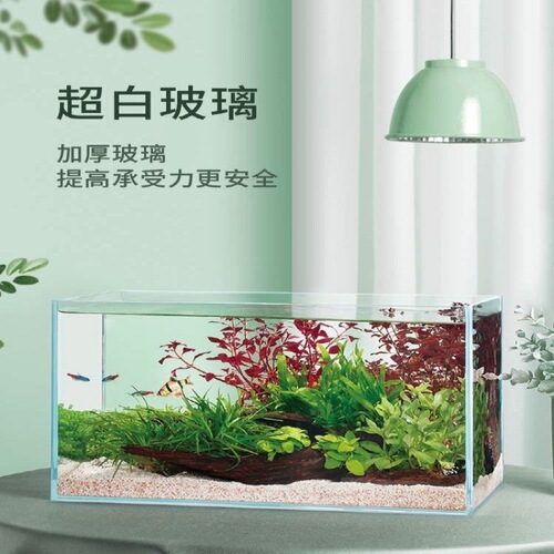 Small fish tank living room small new internet celebrity exquisite small fish tank desktop home office AliExpress