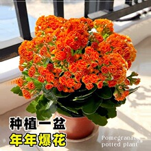 �L�ۻ������ذ�����󻨎����������ļ��҃��_�����B�Ļ���ֲ��