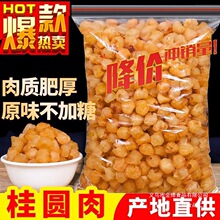 灯笼泡水包邮干龙眼桂圆肉干桂圆肉无核500罐装新货新高