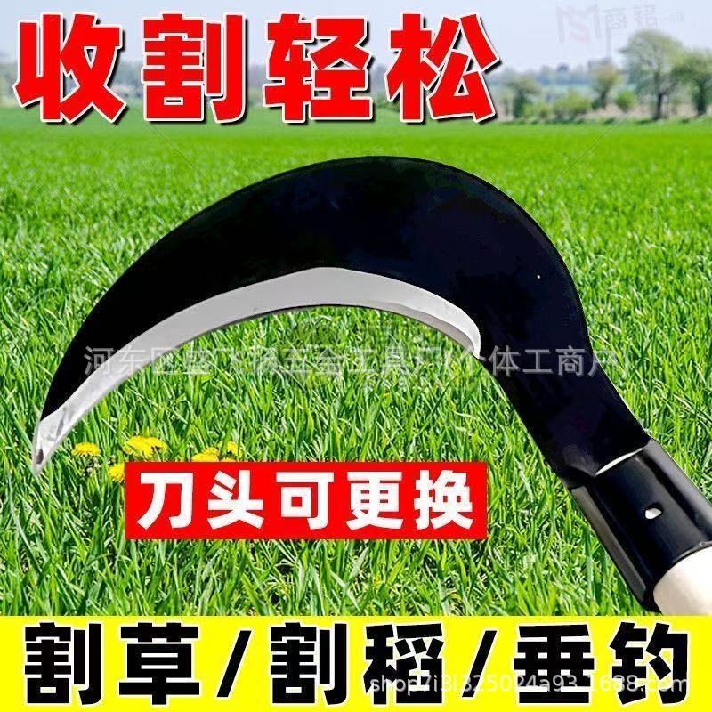 微信图片_202505121040113.jpg