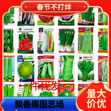 一件代发四季蔬菜种子农家阳台盆栽种菜菜种大全香菜生菜韭菜种孑