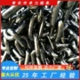 高强度矿用提升工业链条