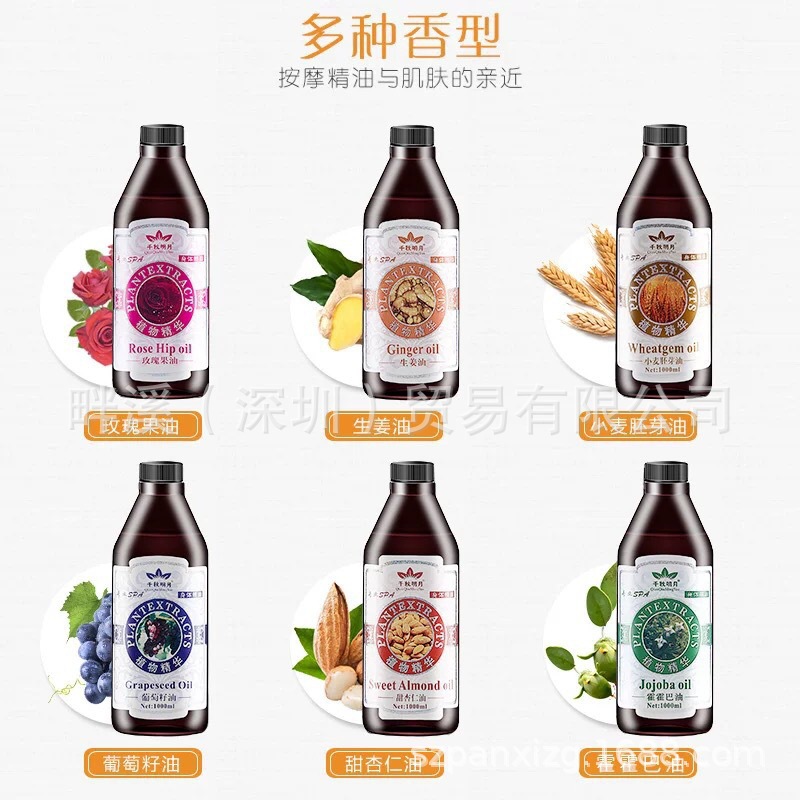 Body massage rose essential oil beauty salon spa olive oil ginger scraping oil whole body large bottle open back essential oil