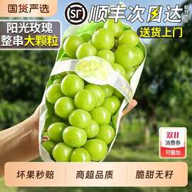 水果顺丰正宗阳光玫瑰葡萄5斤当季新鲜无籽晴王香印青提整箱包邮