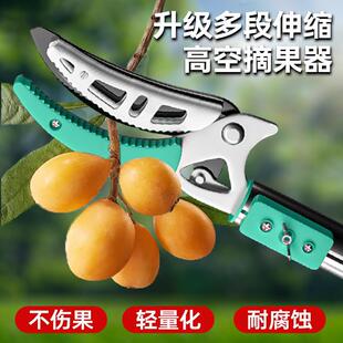 ��ժ��������ˮ����֦��÷������s�U���߸߿���֦�@ˇ��ľ��֦��