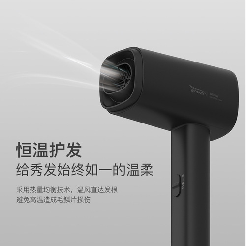Bowei Portable Small Upright Hairdryer for Hotels, Guesthouses, Homestays, High Power Hair Drying Machine for Apartments