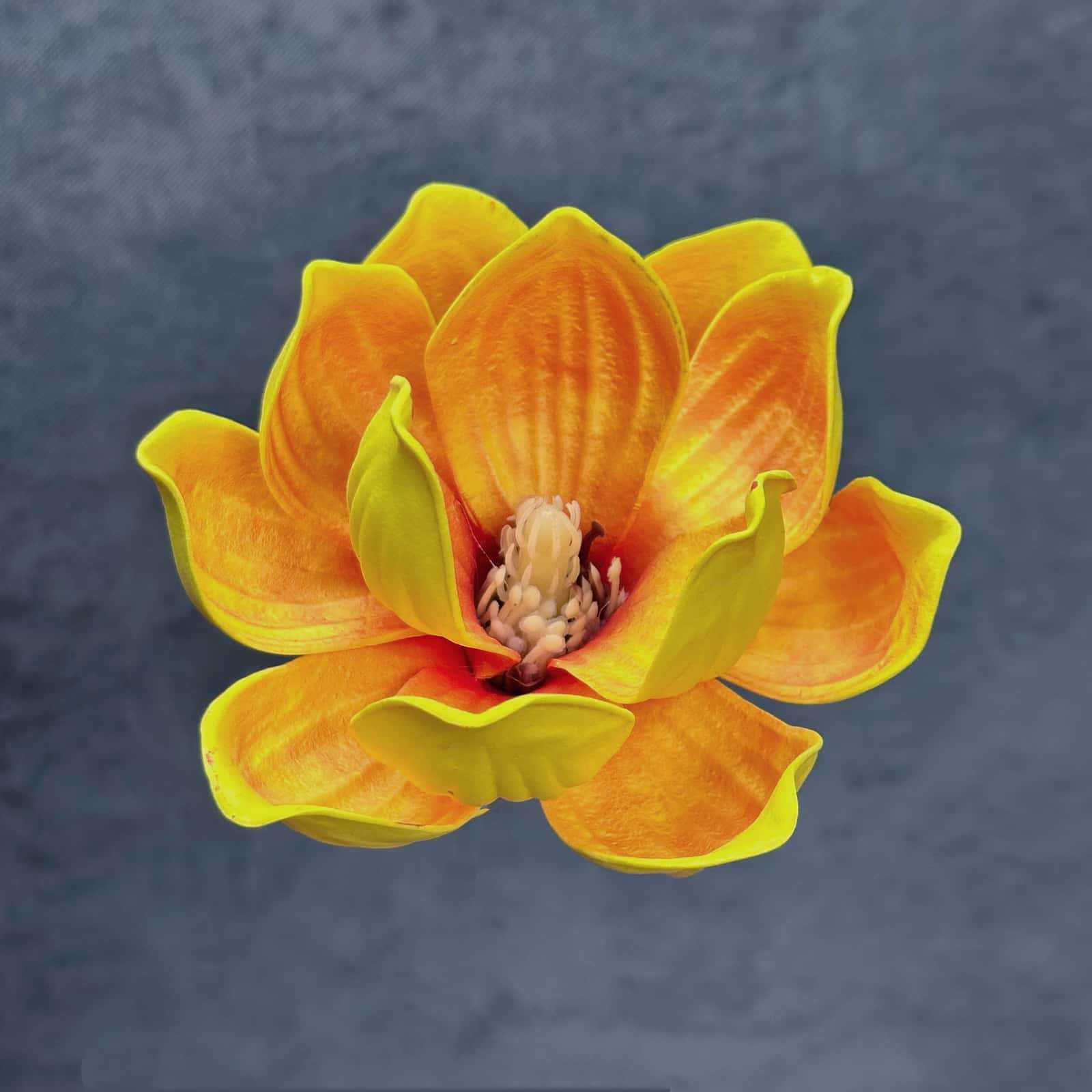 Flor de simulación transfronteriza EVA cabeza de magnolia 13cm tacto tocado kapok decoración decoración decoración flor falsa al por mayor