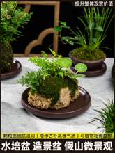 ��ˮʯ�辰����ʯ�P��ˮʯ�бP��ɽ�軨�����ˮ�Pʯ�����մ�����