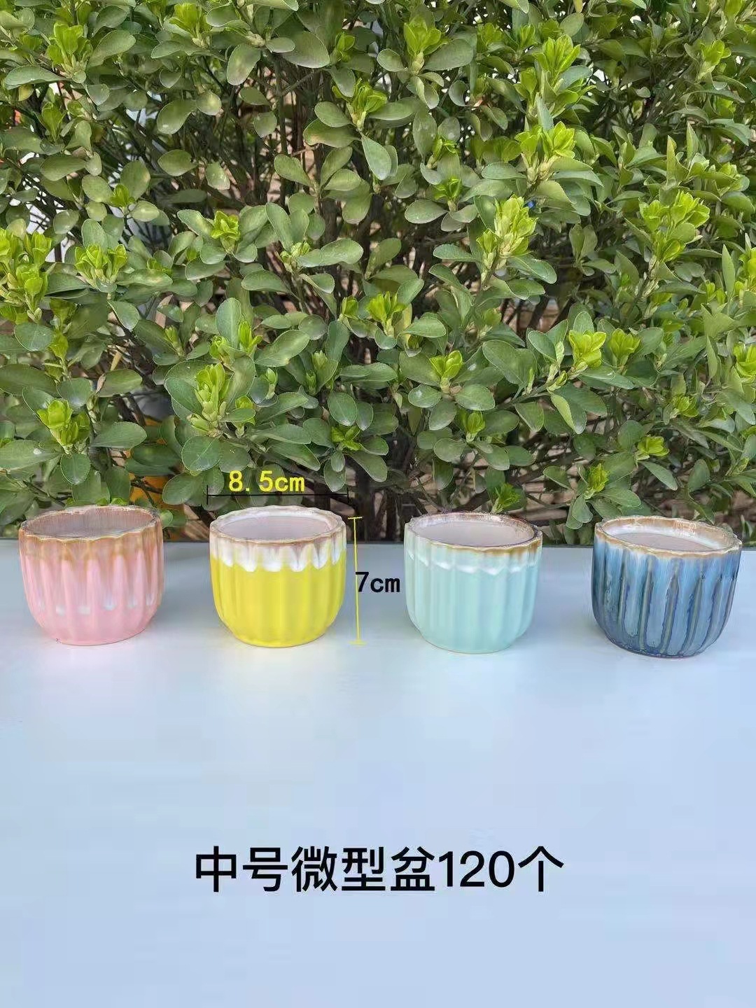 微信图片_20220213115548