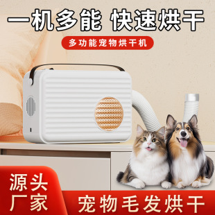 Multifunctional Pet Dryer Household Dryer Heater Small Clothes Dryer Cat and Dog Hair Dryer Wholesale