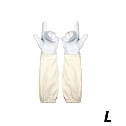 2025-06-29 12:36:46.jpg