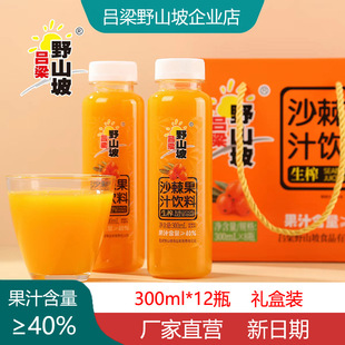 ����Ұɽ��ɳ��֭���300ml*12ƿɽ��С��ɳ��֭ԭ�{ɳ����֭�Ʒ