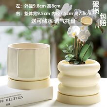 �����L�մɻ�����Î��бP��С�ڏ������m���⌣������Gֲ�b���