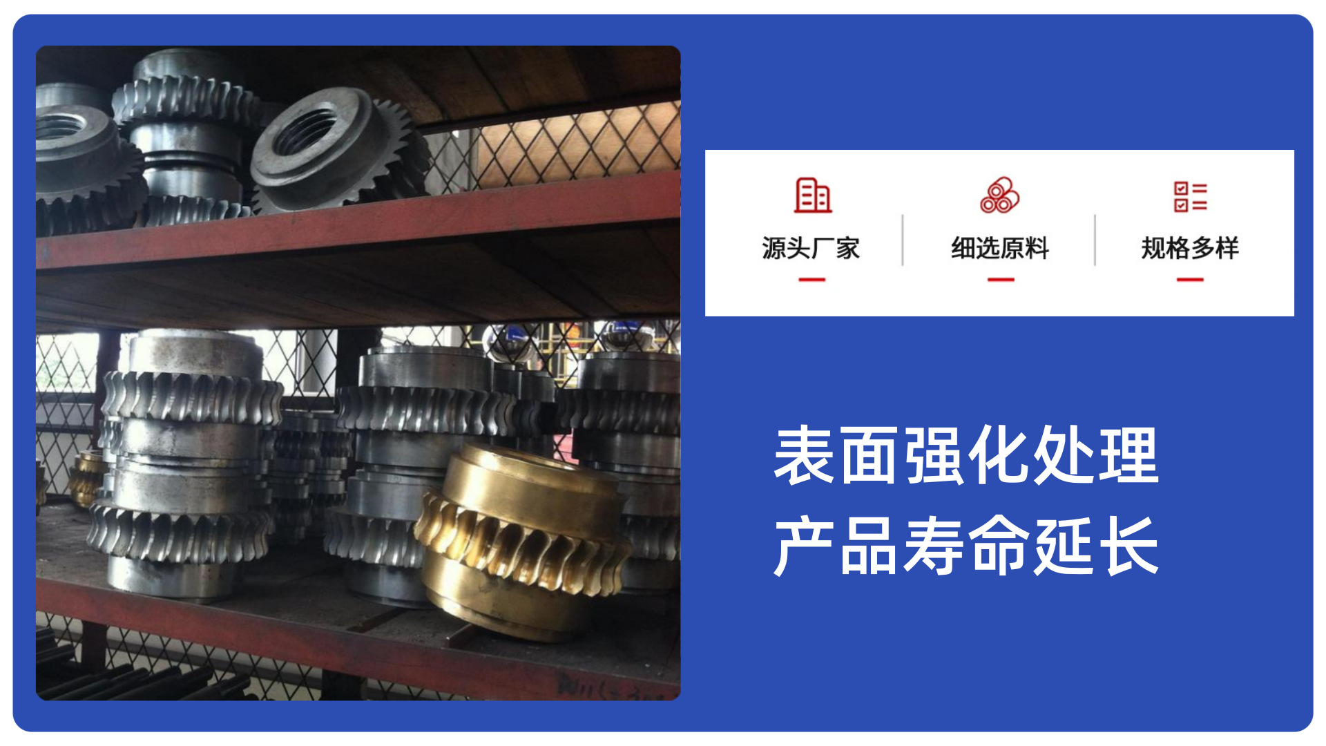 微信图片_20230220164744_副本_副本_副本