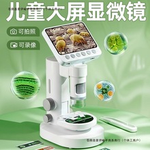 ���նY��Ů���к�����С�W�����I����������߃�ͯ�@΢�R���]