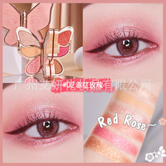 廠家彩妝批發AGAG蝶飛若舞星辰眼影盤微商跨境熱銷美妝眼影