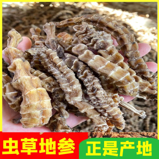 �V�����Q�x�݅��؅�����ș����������Q���񹝅��ܽ����[�ؔ�؛Դ