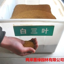 ~ݷN ~ t~ƷNRȫ ·N ѿʸ