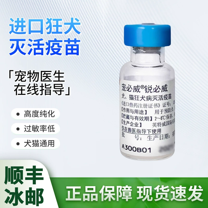 Вакцина от бешенства Intervet для собак и кошек, универсальная для кошек и собак, вакцина от бешенства RabiVax для щенков и котят.