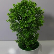 �辰�������Է���Gֲ ���{�� ���\���� ���ԾGֲ����ֲ��ˮ��