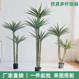 仿真多杆剑麻绿植盆栽人造龙舌兰商场走廊空中花园造景摆件假植物