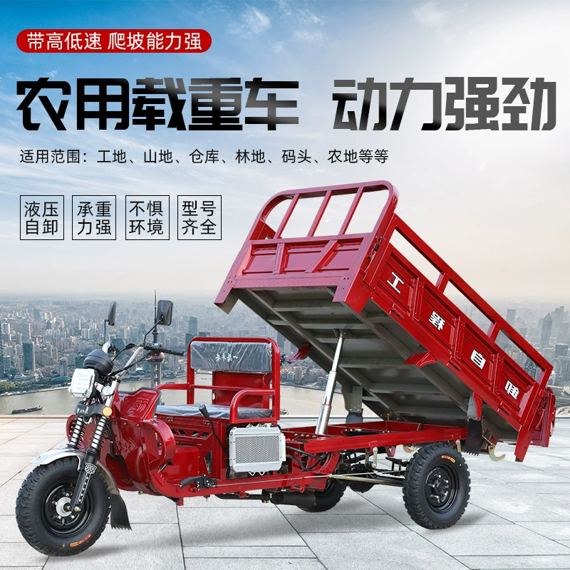 Двигатель Zongshen бензиновый трехколесный мотоцикл топливо для домашнего хозяйства