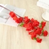 Little Peach Blossom [Red]