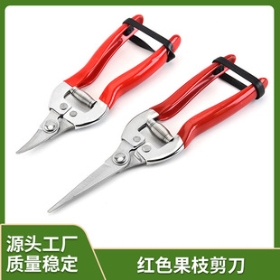 ���P�����ϡ�������^���@ժ�����޽ӹ����@����֦�����ԾGֲ��