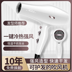 理髮店吹風機家用恆溫大功率髮廊大風力髮型師專用電吹風交流電機