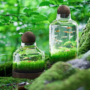 ���l��ʽ���Bƿ����΢���^���B�~����Qˮ��ؔƿ���ⲣ��ˮ��ƿ