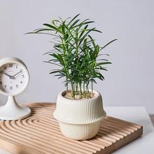 �_�h��С�����҃ȾGֲ����ֲ��������˺��B�ļ����������՚�