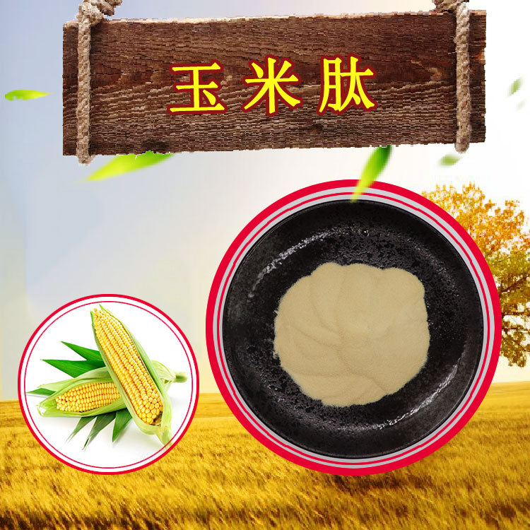 玉米低聚肽水溶性小分子肽植物肽零售批发量大议价玉米肽