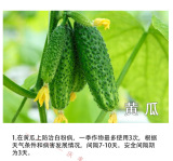 Швейцария Швейцария зеленый