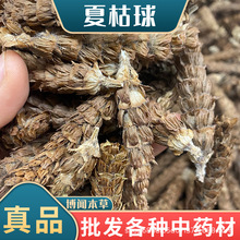 ��ș�����l�Ŀݲݮa��؛Դ�Ŀ���ݲ����鳲��Ŀݲݴ�����в�ș