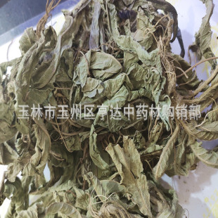 ��đ�� ĥ��đ �տƵ�đ�� ��Ь���~���l����