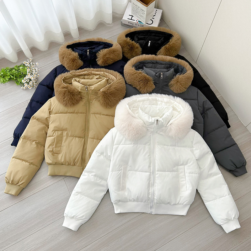 Europa y los Estados Unidos comercio exterior azul tibetano sensación de diseño encapuchado algodón cuello de invierno nuevo algodón corto chaqueta de pan