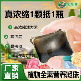 栽培基质;园艺灌溉工具;园艺工具