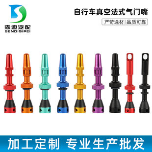 Bike, nipple, removable tires sealant, constructor, french style, aluminum alloy