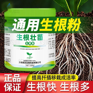 �����۶��`������Ǥ��ֲ��ͨ�û����߲˹���ľ���Ԍ��ùٷ���Ş��