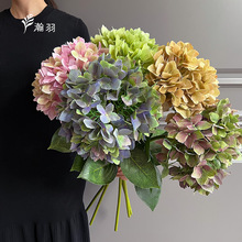 ��Ʒ3D���������滨�Ҿӿ͏d�bzӰ���յ��߻�c���������ٻ�