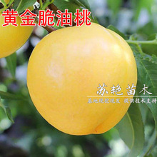 �S������� �S������ �޽��Ҙ��� �x�� ������������箔��Y����