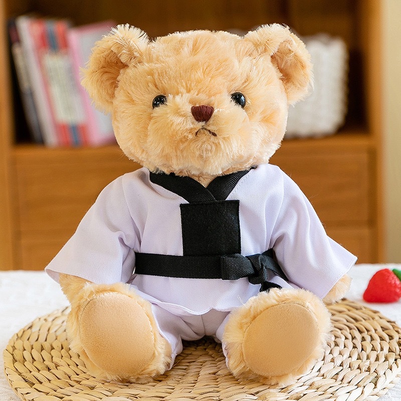 Taekwondo Teddy Bear Teddy Teddy