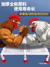 �u�S©�S���B�u�W����u�\���ω|�W�u���Z�C��ʺ�������r�B���_�|
