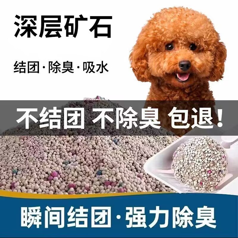 f9b32c2a-5757-47d6-937d-382215223c82.jpe