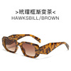 Fashionable sunglasses, glasses suitable for men and women, European style